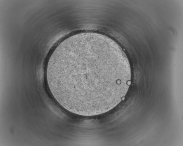 X0000113900584200910221440