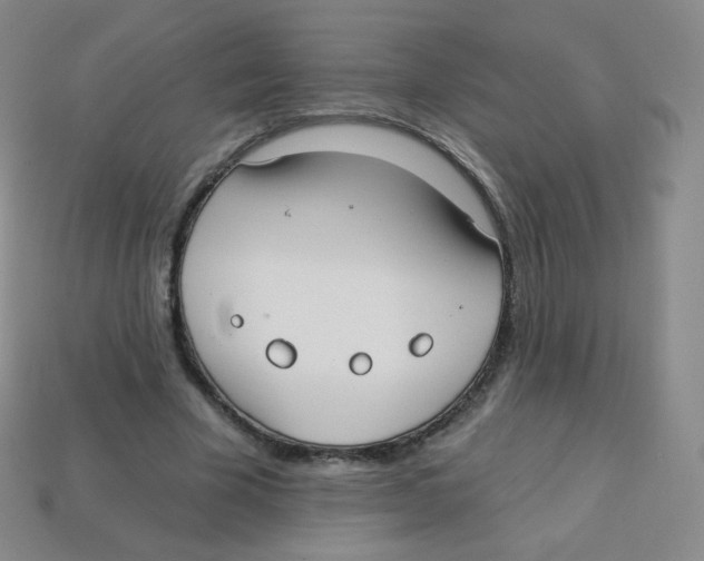 X0000113900585200910221440