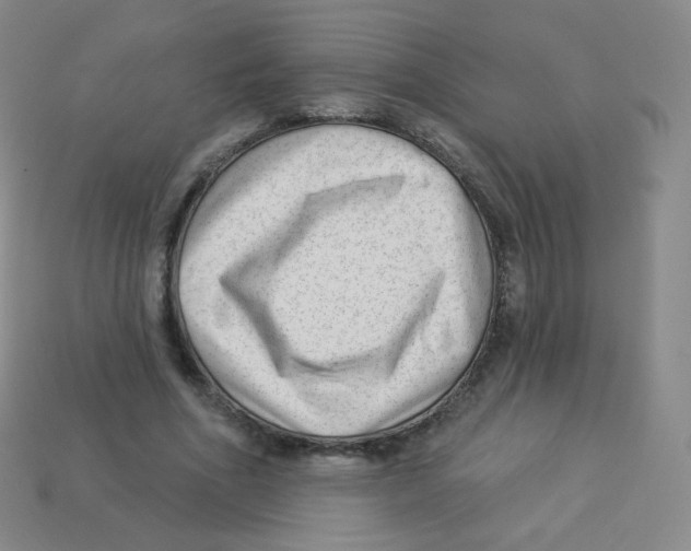 X0000113900586200910221440