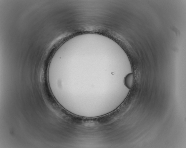 X0000113900587200910221440