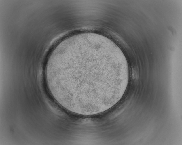 X0000113900588200910221440