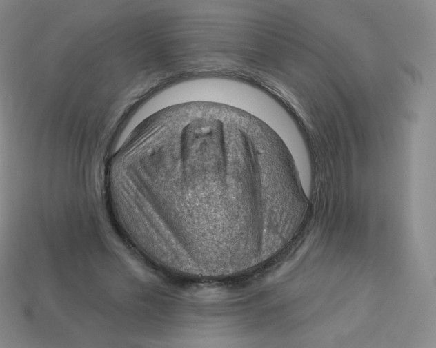 X0000113900589200910221440