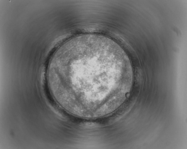 X0000113900590200910221440