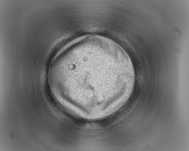 X0000113900591200910221440