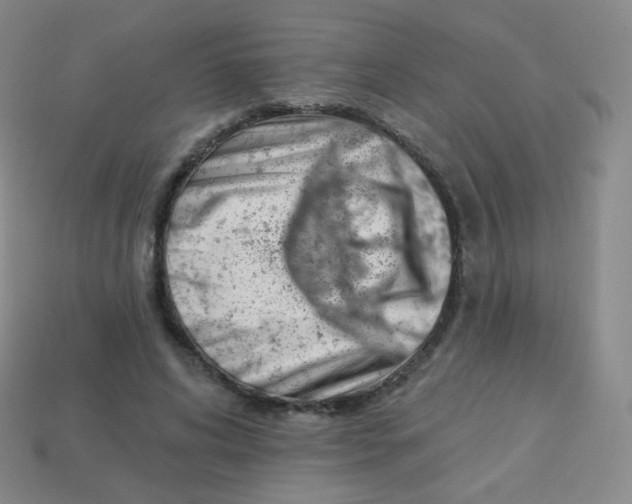 X0000113900592200910221440