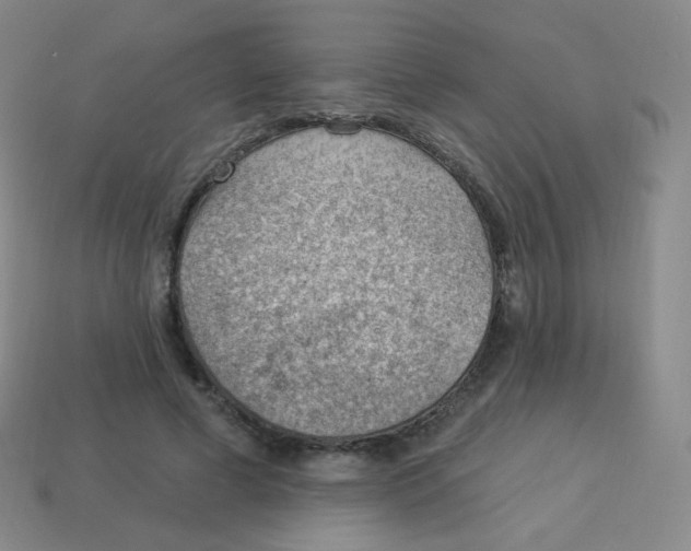 X0000113900593200910221440