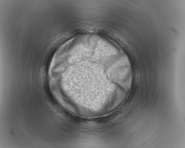 X0000113900594200910221440