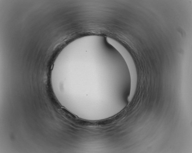 X0000113900595200910221440