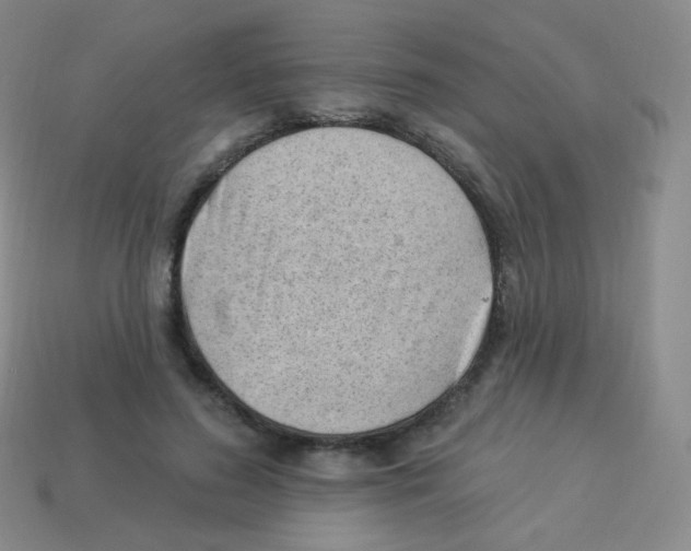 X0000113900596200910221440