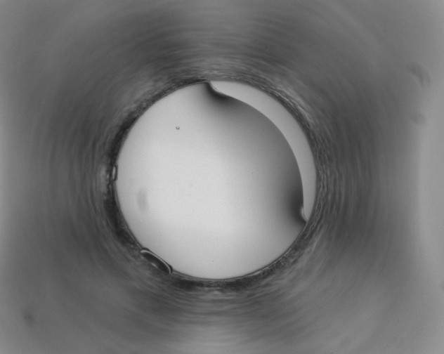 X0000113900597200910221440