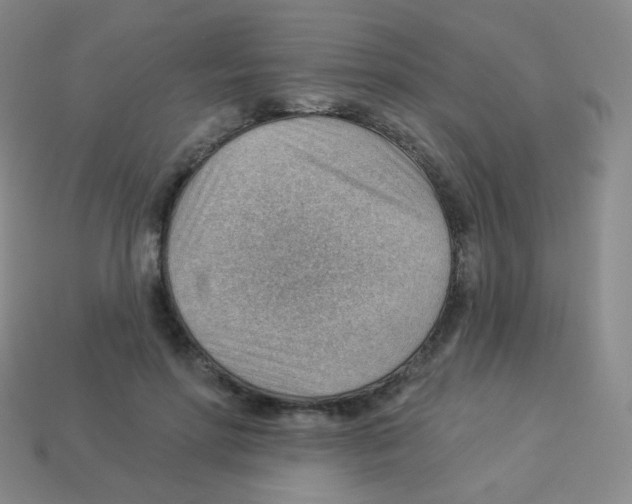 X0000113900598200910221440