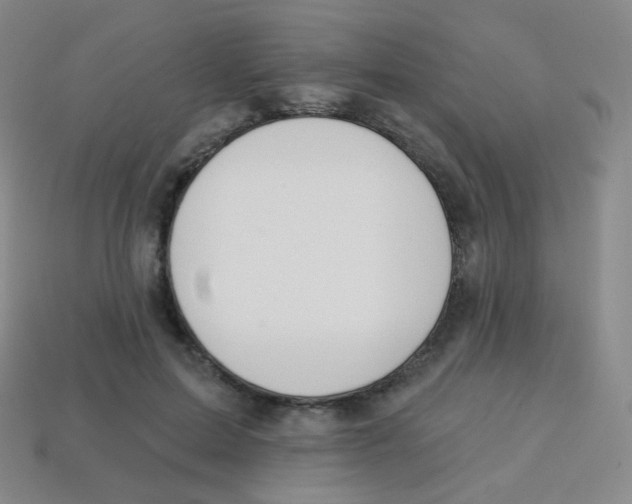 X0000113900599200910221440