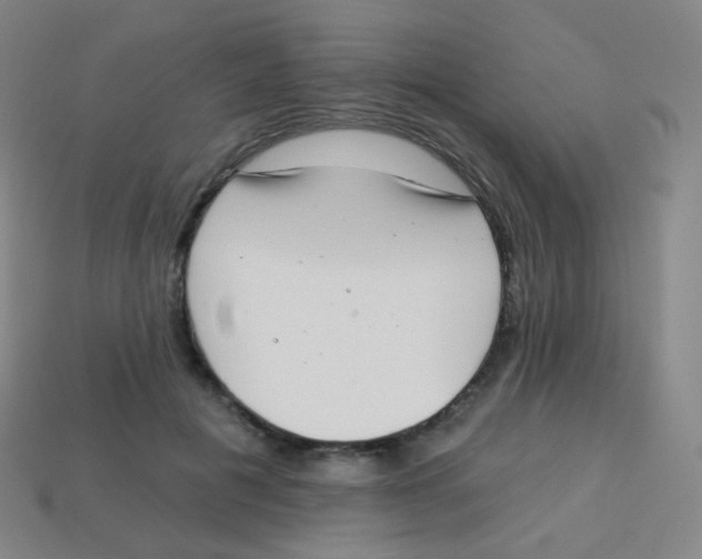 X0000113900601200910221440