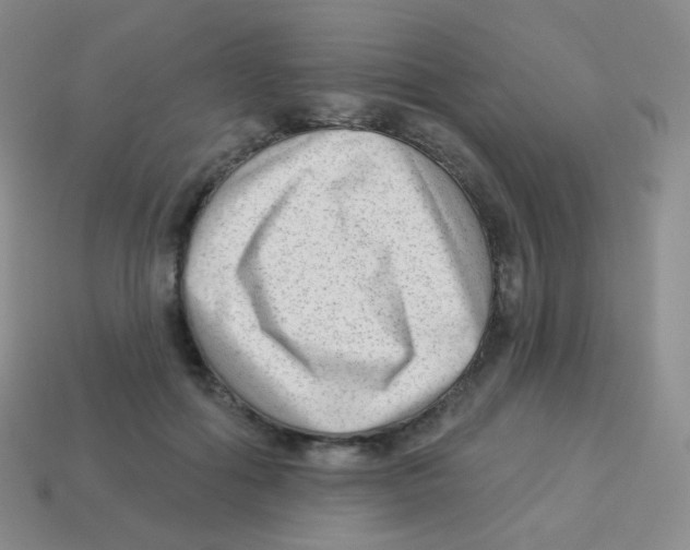 X0000113900602200910221440