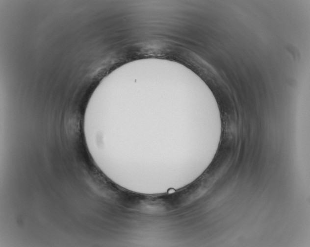 X0000113900603200910221440