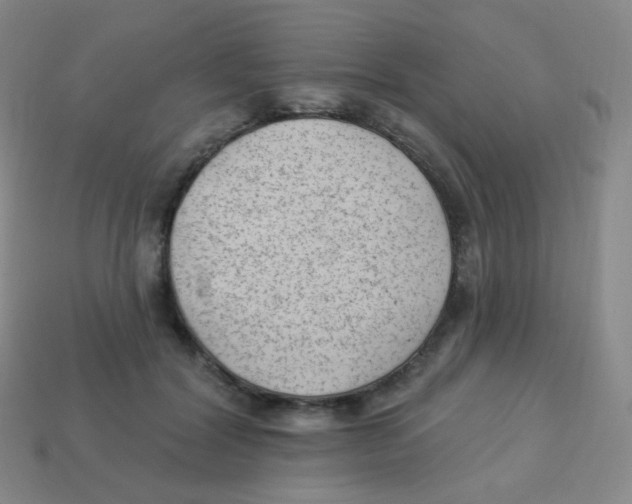 X0000113900604200910221440