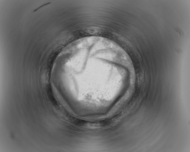 X0000113900606200910221440