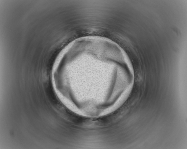 X0000113900607200910221440