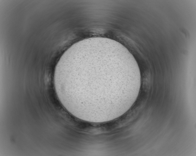 X0000113900608200910221440