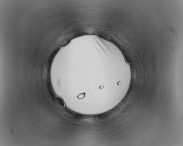 X0000113900611200910221440