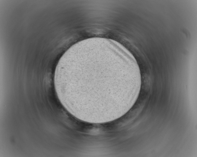 X0000113900612200910221440