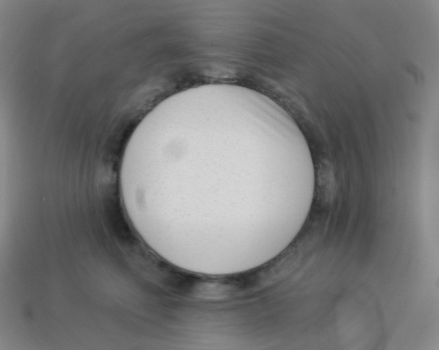 X0000113900614200910221440