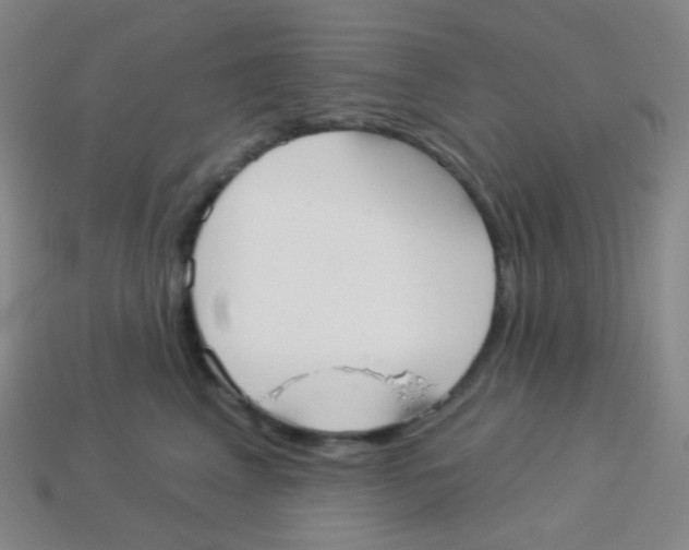 X0000113900617200910221440