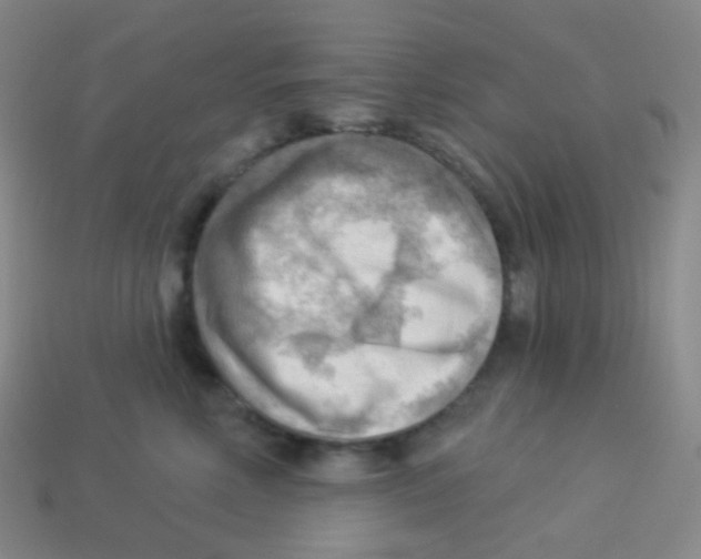 X0000113900618200910221440