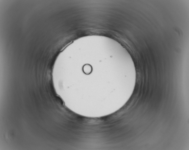 X0000113900621200910221439