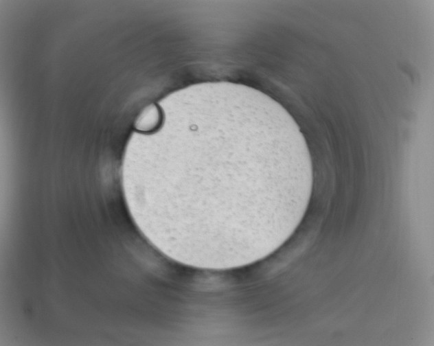 X0000113900624200910221439