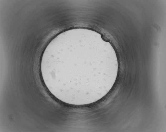 X0000113900625200910221439