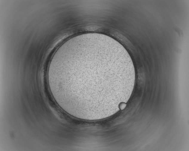 X0000113900626200910221439