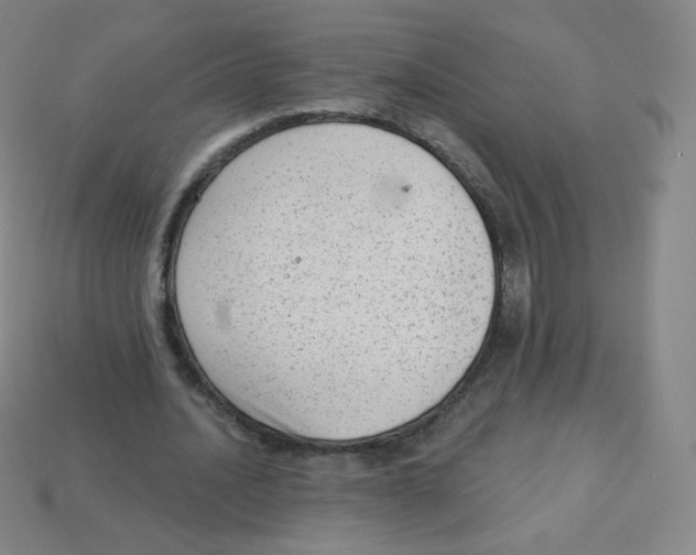 X0000113900628200910221439