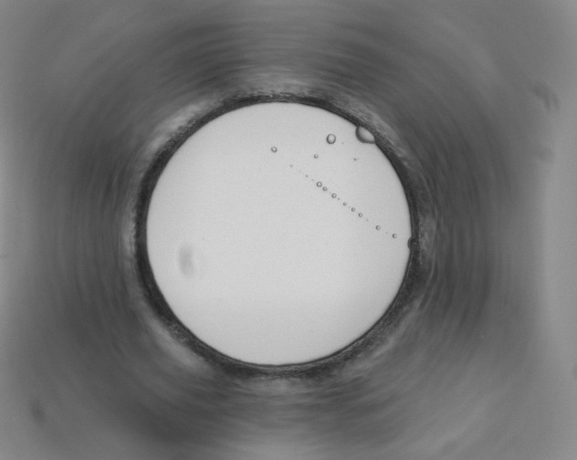 X0000113900629200910221439