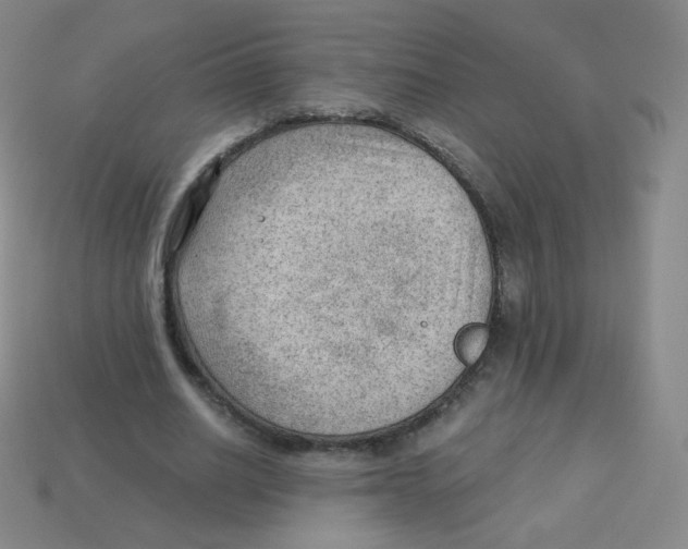 X0000113900630200910221439