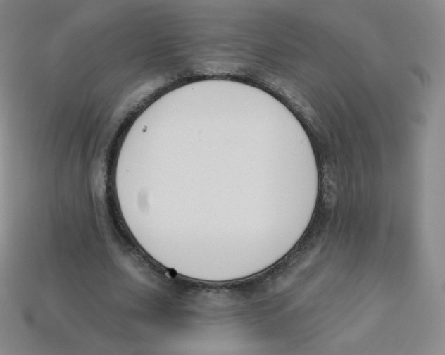 X0000113900631200910221439