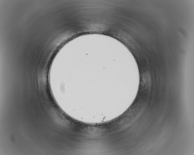 X0000113900632200910221439