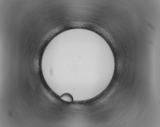 X0000113900633200910221439