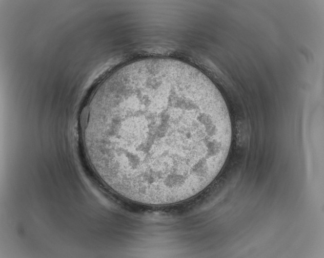 X0000113900634200910221439