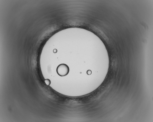 X0000113900635200910221439