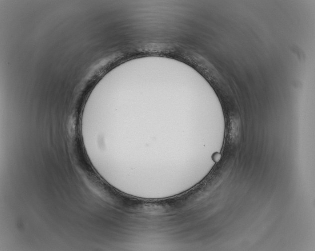 X0000113900636200910221439