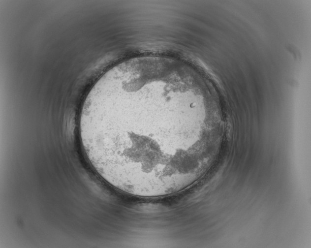 X0000113900637200910221439