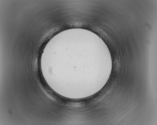 X0000113900638200910221439