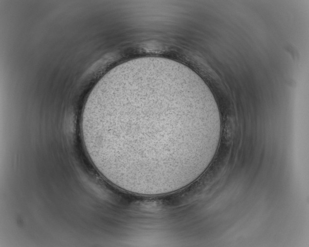 X0000113900639200910221439