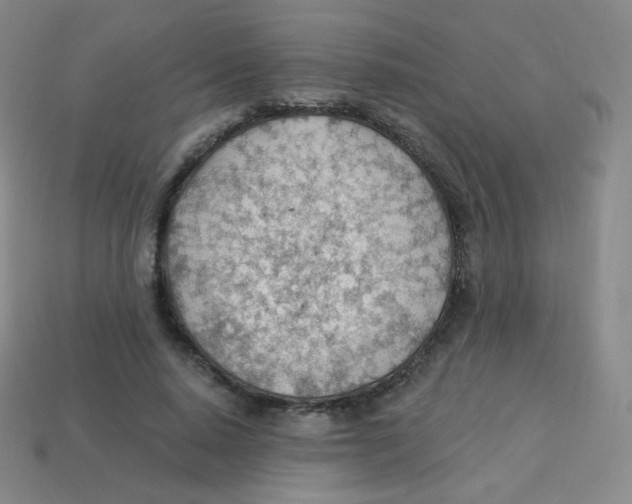 X0000113900640200910221439