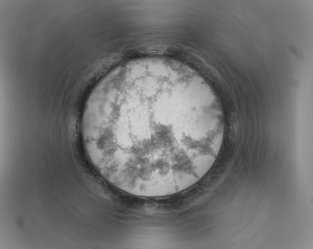 X0000113900641200910221439