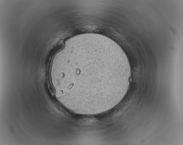 X0000113900642200910221439