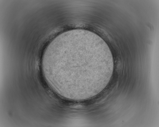 X0000113900643200910221439