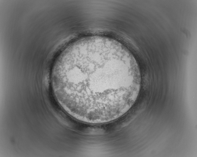 X0000113900644200910221439