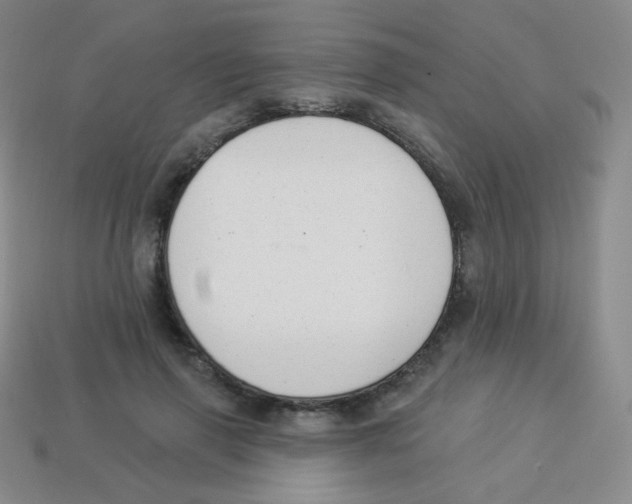 X0000113900645200910221439